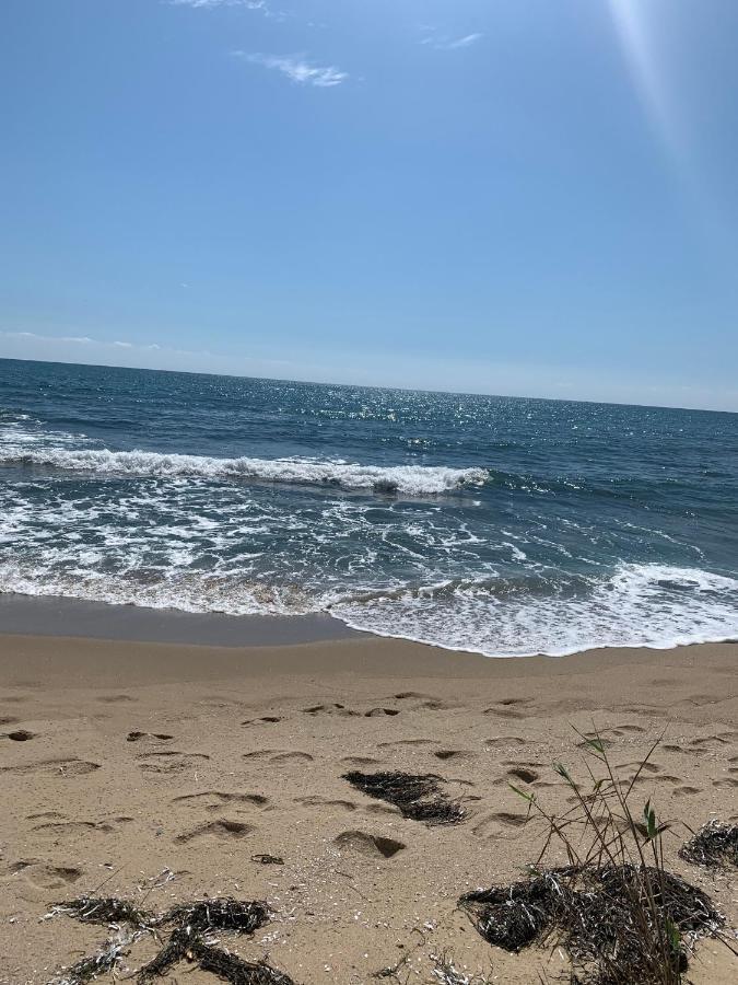 Аппартамент Pines Beach Resort Bjala Kültér fotó